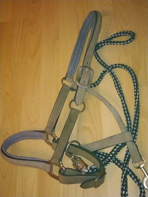 Edles, graues Halfter in Wildleder Optik !, Andrea , Halters, iserlohn