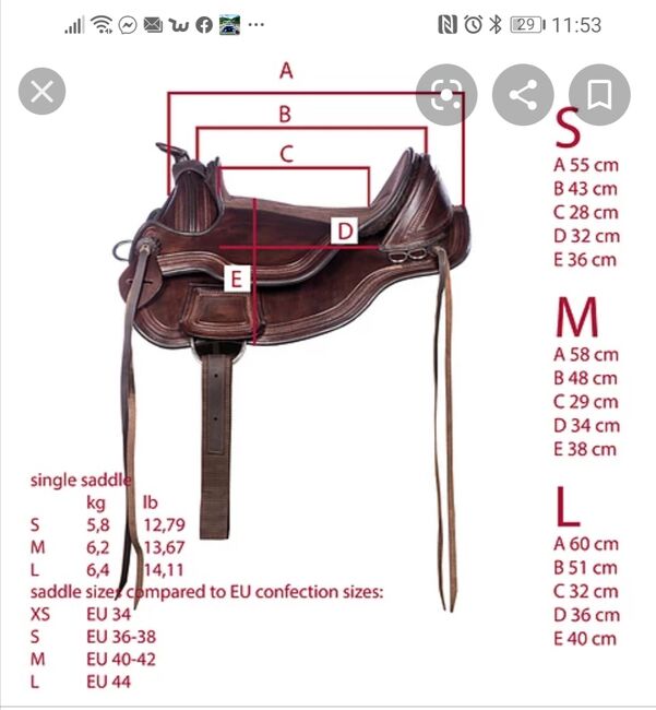 Edix Westernsattel, Edix Equis, Kerstin Kehrer-Höhe, Treeless Saddle, Niefern-Öschelbronn, Image 10