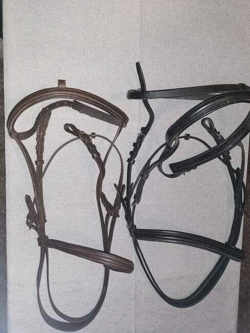 Einfache Trense Lede, Steff, Bridles & Headstalls, Würselen 