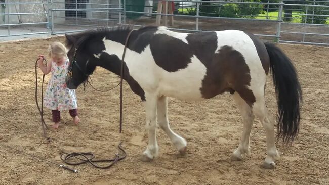 Einfach besser Reiten!Ohrenwechsel®Kurs in Kombination mit Tellington TTouch®, Ohrenwechsel ! Feines Sein mit Tieren www.ohrenwechsel.de, Susanne Pourroy , Reitunterricht, Finning, Abbildung 3