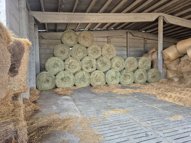 Bio Heu Rundballen 140 cm 300 kg, Marie Körner , Hay & Straw, Schadow