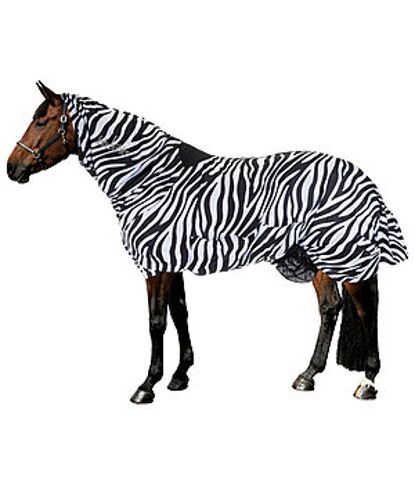 Ekzemerdecke, Felix Bühler, 145, gebraucht, Felix Bühler, Franziska, Pferdedecken, München