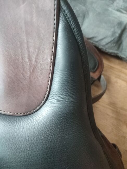 El Campo Shorty SKL S3, Deuber Deuber El Campo SKL Shorty S3 Schmuckstück , Marion Reich, Other Saddle, Breitnau, Image 2
