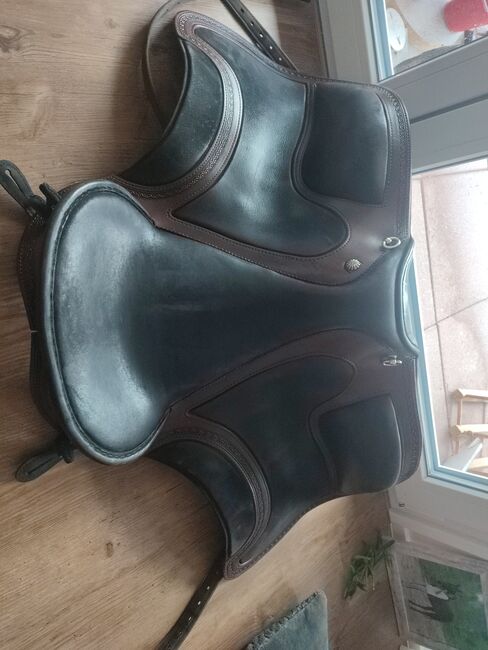 El Campo Shorty SKL S3, Deuber Deuber El Campo SKL Shorty S3 Schmuckstück , Marion Reich, Other Saddle, Breitnau