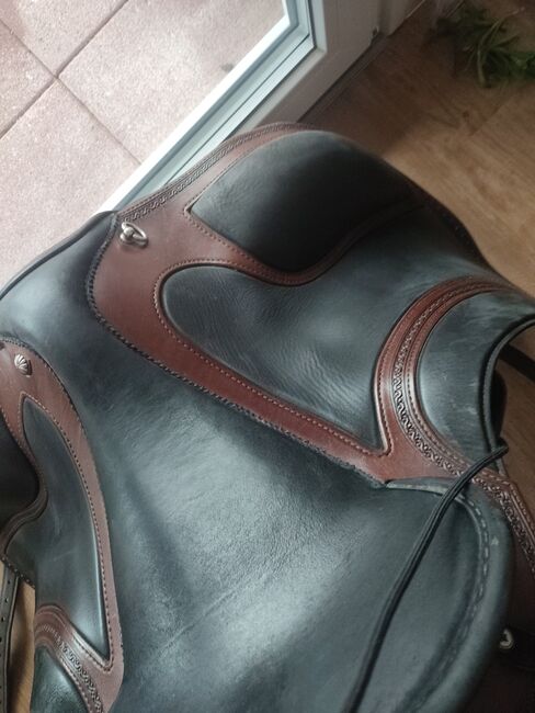 El Campo Shorty SKL S3, Deuber Deuber El Campo SKL Shorty S3 Schmuckstück , Marion Reich, Other Saddle, Breitnau, Image 8