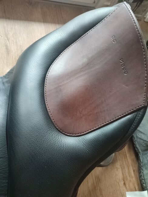 El Campo Shorty SKL S3, Deuber Deuber El Campo SKL Shorty S3 Schmuckstück , Marion Reich, Other Saddle, Breitnau, Image 15