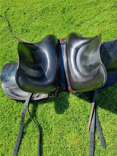 El Campo S3, Deuber El Campo S3, Viola Nitsche, Barocksattel, Hürth, Abbildung 9