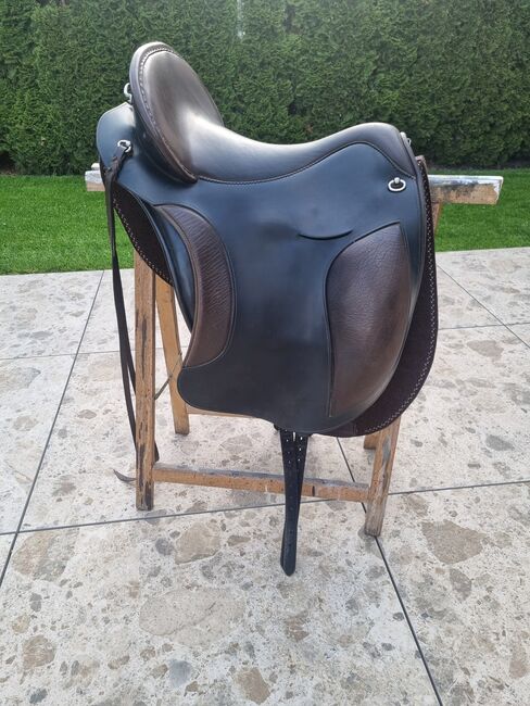 El Campo S3, Deuber El Campo S3, Viola Nitsche, Baroque Saddle, Hürth, Image 2