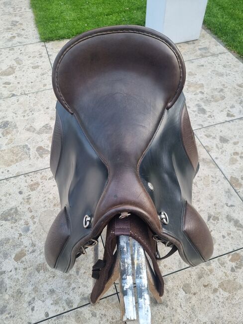 El Campo S3, Deuber El Campo S3, Viola Nitsche, Baroque Saddle, Hürth, Image 6