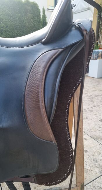 El Campo S3, Deuber El Campo S3, Viola Nitsche, Baroque Saddle, Hürth, Image 4