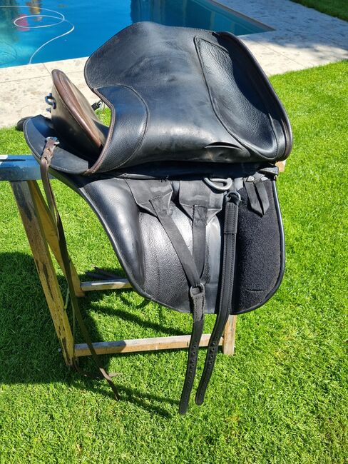 El Campo S3, Deuber El Campo S3, Viola Nitsche, Baroque Saddle, Hürth, Image 8