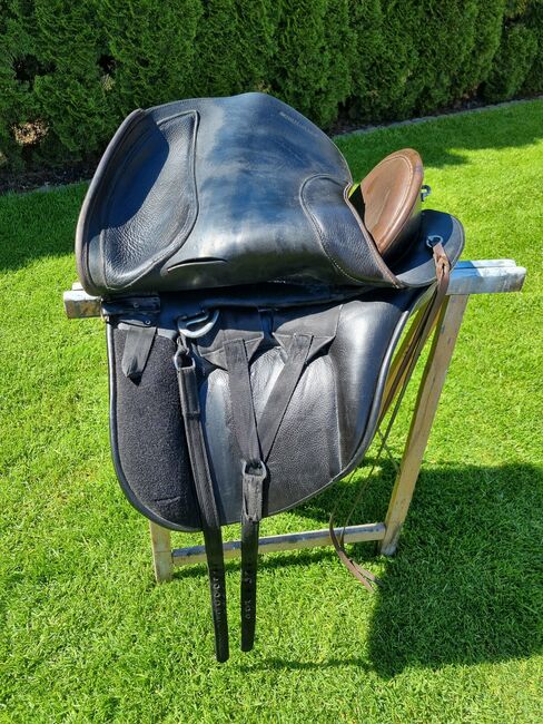 El Campo S3, Deuber El Campo S3, Viola Nitsche, Baroque Saddle, Hürth, Image 7