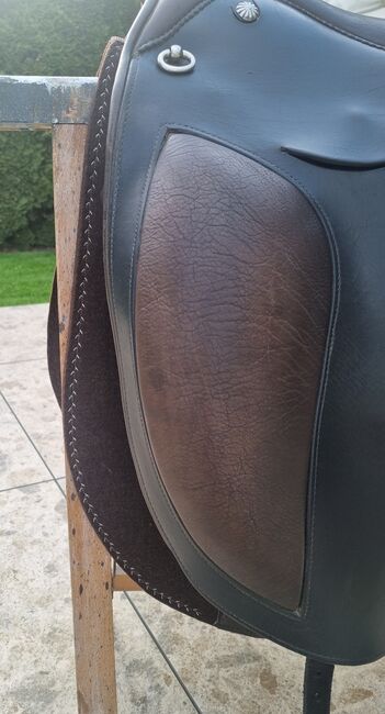 El Campo S3, Deuber El Campo S3, Viola Nitsche, Baroque Saddle, Hürth, Image 5