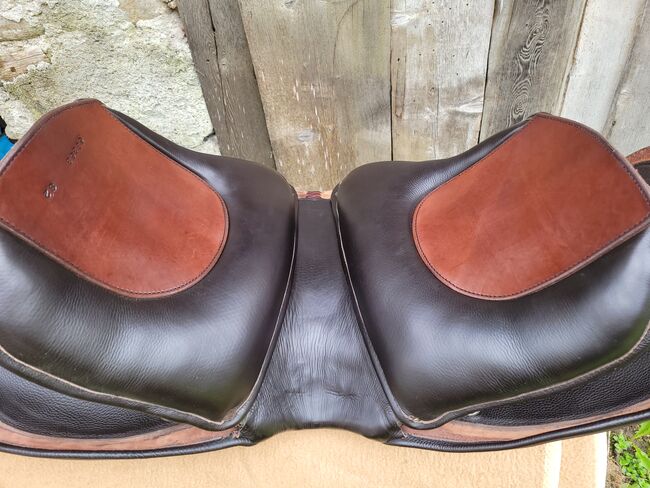 EL CAMPO SKL SHORTY S2 DEUBER & PARTNER, Deuber & Partner  El Campo , Elisabeth Lunger , Barocksattel, Pfitsch , Abbildung 4