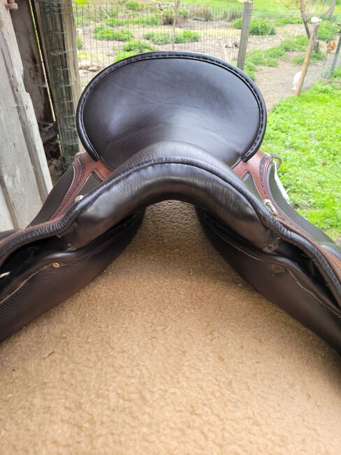 EL CAMPO SKL SHORTY S2 DEUBER & PARTNER, Deuber & Partner  El Campo , Elisabeth Lunger , Baroque Saddle, Pfitsch , Image 7