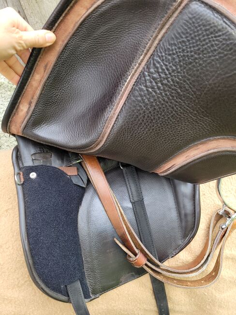 EL CAMPO SKL SHORTY S2 DEUBER & PARTNER, Deuber & Partner  El Campo , Elisabeth Lunger , Baroque Saddle, Pfitsch , Image 6