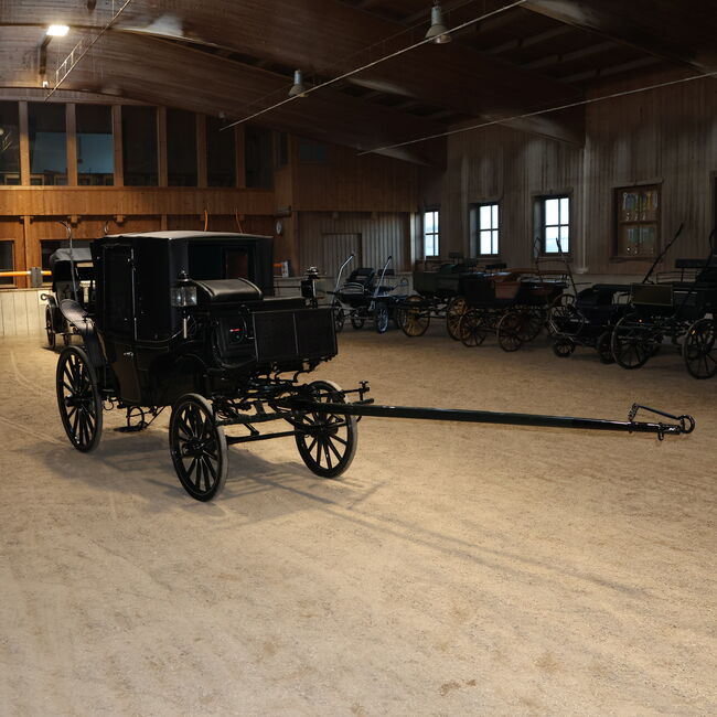 Eleganter Parkwagen Kutsche Baumann Lederpolsterung Zürich, Baumann Eleganter Parkwagen, Niklas Jäger (2ndTrade e.K.), Powozy konne, Wolnzach