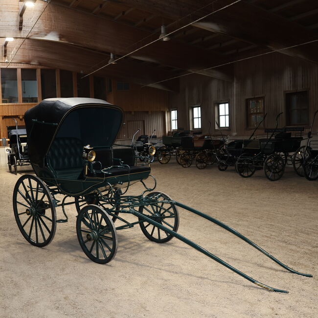 Eleganter Parkwagen Kutsche Baumann Lederpolsterung Zürich, Baumann Eleganter Parkwagen, Niklas Jäger (2ndTrade e.K.), Carriages, Wolnzach
