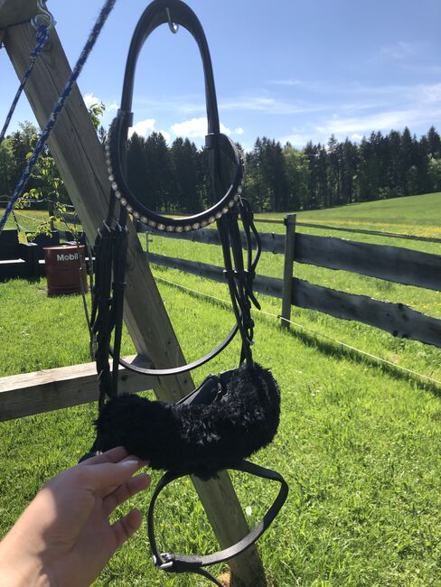 Englisch-Kombinierte Trense, Loesdau, Annika Kirschner, Bridles & Headstalls, Neuried