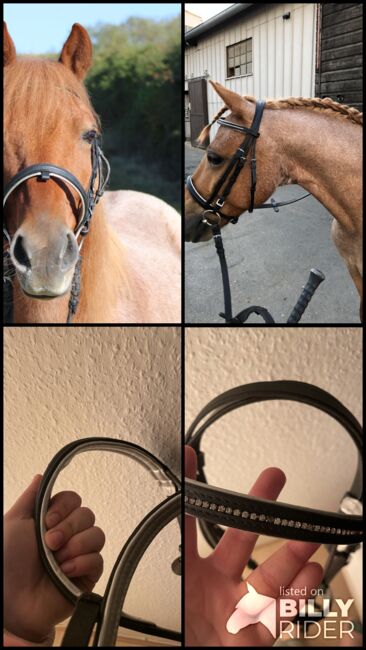 Englisch kombinierte Trense, Nina Lenhart, Bridles & Headstalls, Ochsenfurt, Image 6