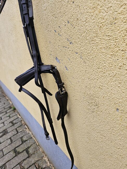 Englische Trense in Größe cob, Equine conzept , Celina Ofer , Bridles & Headstalls, Ketsch, Image 2