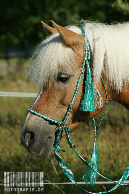 Englisch-Zaum "Gebisslos-Classic-Color" in mittelgrün/weiss mit silbernen Ornament-Perlen, Una (Horse-design), Gebisslose Zäumungen, Rot am See, Abbildung 3