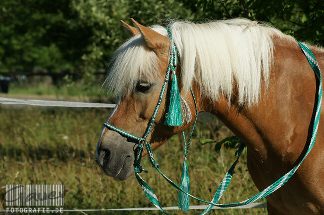 Englisch-Zaum "Gebisslos-Classic-Color" in mittelgrün/weiss mit silbernen Ornament-Perlen, Una (Horse-design), Gebisslose Zäumungen, Rot am See, Abbildung 5