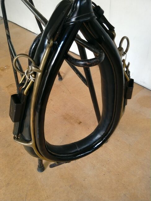 English Collar, Carl, Horse Harness, Newcastle under lyme