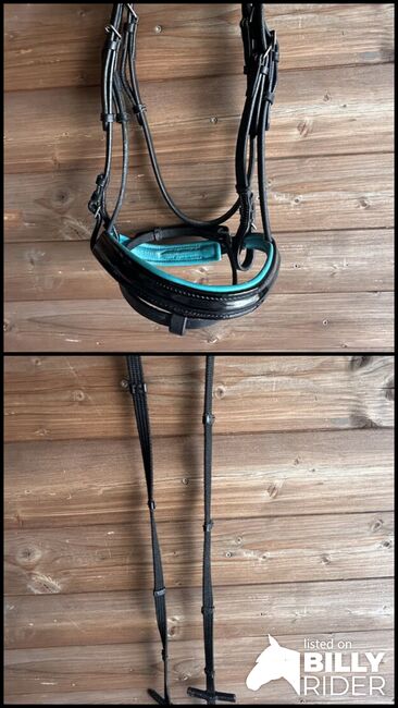 Englisches Reithalfter, Showmaster Englischesreithalfter, Elena, Bridles & Headstalls, Gottmadingen, Image 3