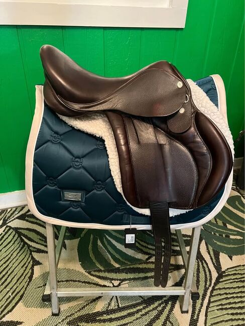 English Saddle, David, Carriages, Lincoln, Image 4