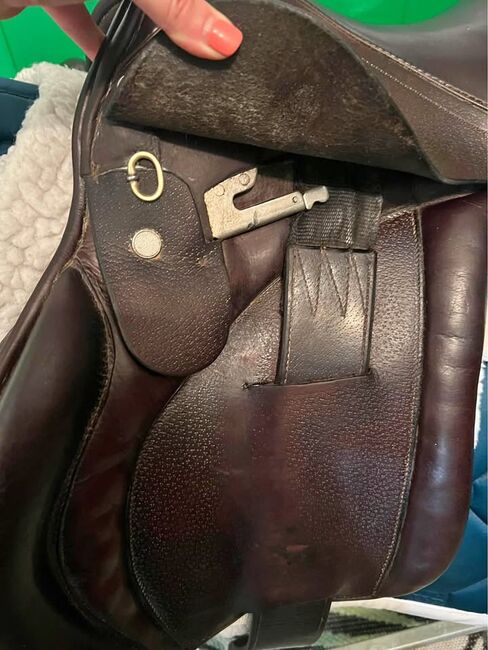 English Saddle, David, Kutschen, Lincoln, Abbildung 2