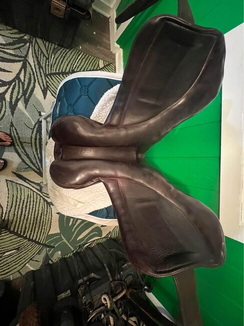 English Saddle, David, Powozy konne, Lincoln, Image 5