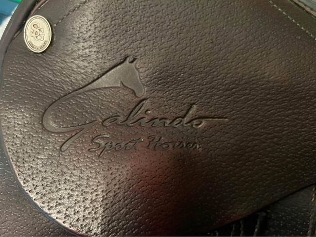 English Saddle, David, Powozy konne, Lincoln, Image 3