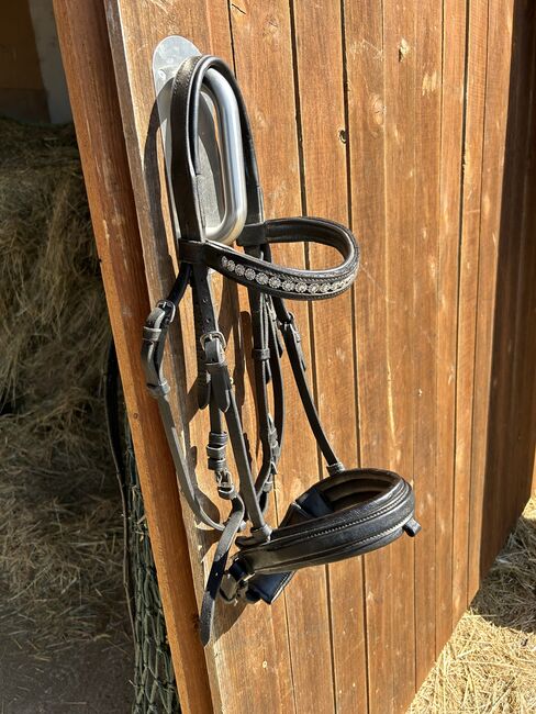 Englische Trense, Nadine, Bridles & Headstalls, Kefermarkt 