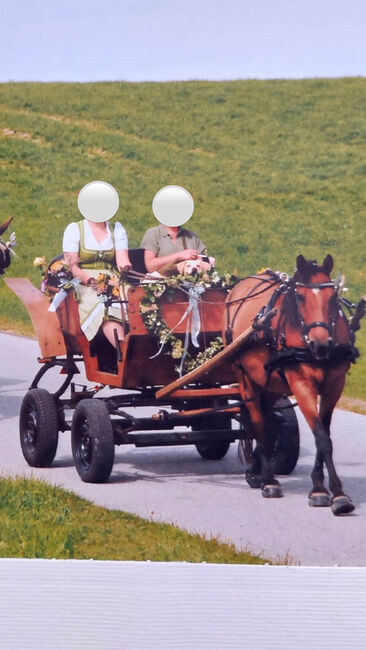 Einspänner Steirerwagerl, Sarah, Carriages, Anthering 