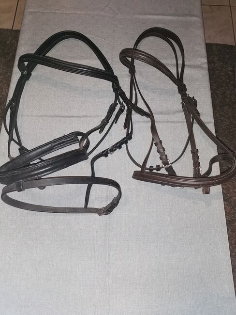 Einfache Trense Lede, Steff, Bridles & Headstalls, Würselen , Image 2