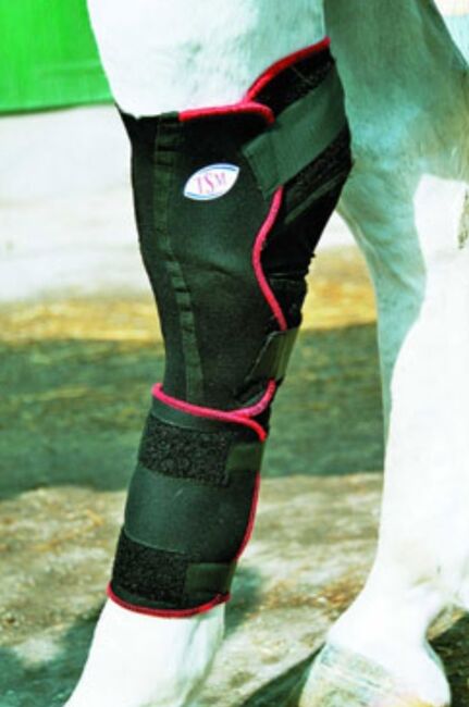 Sprunggelenkbandage, TSM, Andrea, Tendon Boots, Münster, Image 2