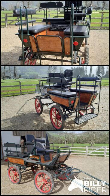 Wagonette Ein- und Zweispännig, Nicki, Carriages, Hopfgarten, Image 4