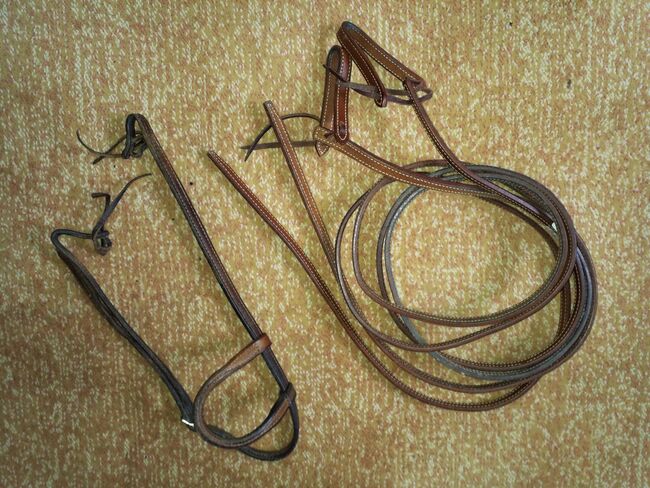 Einohrtrense inklusive Zügel, Christina Eggert, Bridles & Headstalls, Varel