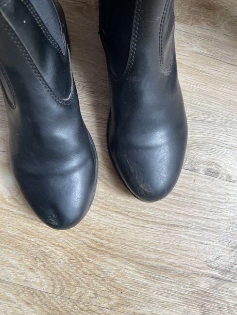 Zugstiefeletten, Steeds, Knoppik, Jodhpur Boots, Michendorf , Image 2