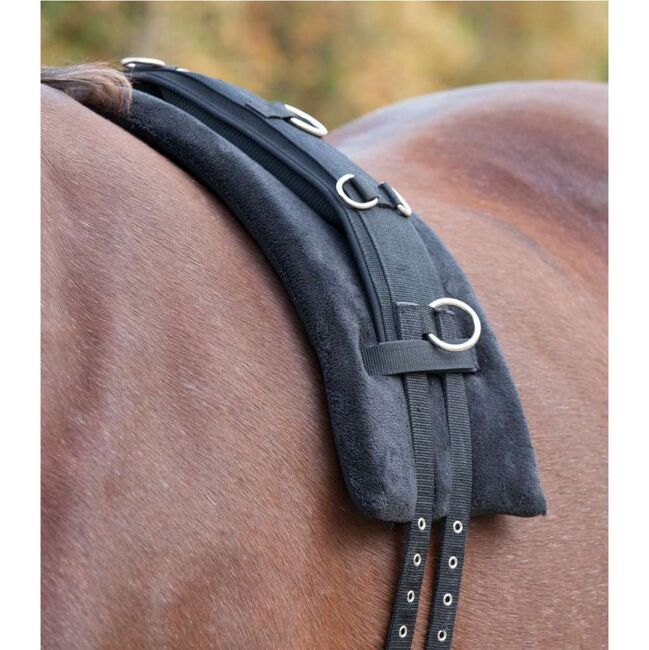 Einspänner Brustblattgeschirr inkl. Zubehör, Nina, Horse Harness, Niedernsill, Image 2