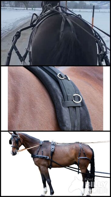 Einspänner Brustblattgeschirr inkl. Zubehör, Nina, Horse Harness, Niedernsill, Image 4