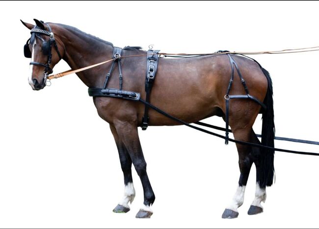 Einspänner Brustblattgeschirr inkl. Zubehör, Nina, Horse Harness, Niedernsill, Image 3
