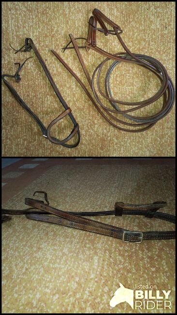 Einohrtrense inklusive Zügel, Christina Eggert, Bridles & Headstalls, Varel, Image 3