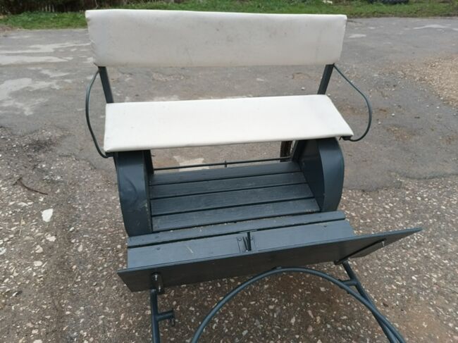 Einspänner Kutsche / Gig / Sulky, Franzi, Carriages, Laupheim