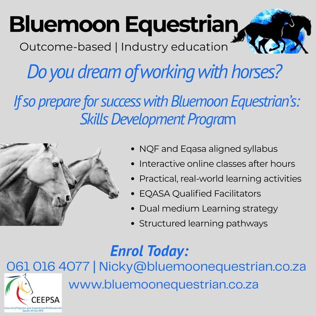 Eqasa Preperation, Nicky (Bluemoon Equestrian), Kursy i seminaria, BRYANSTON