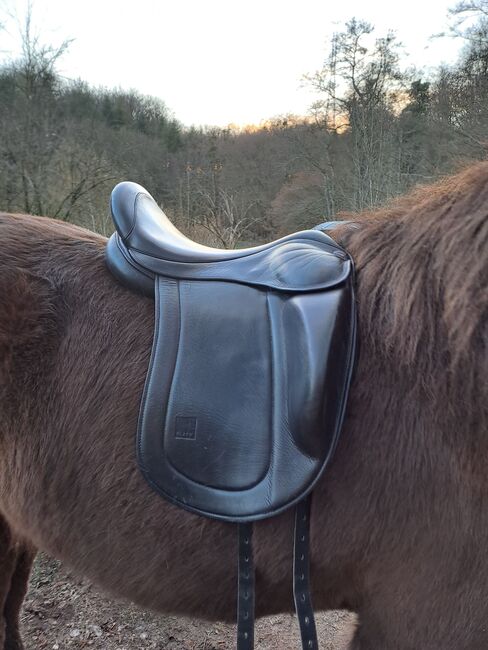 Selle Eques Black 17.5 arçon vert, EQUES Black, Alexia, Icelandic Saddle, Tavier