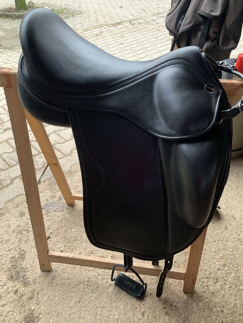 Eques Gold 17“, Eques Gold, Stefanie Emele, Icelandic Saddle, Moosinning 