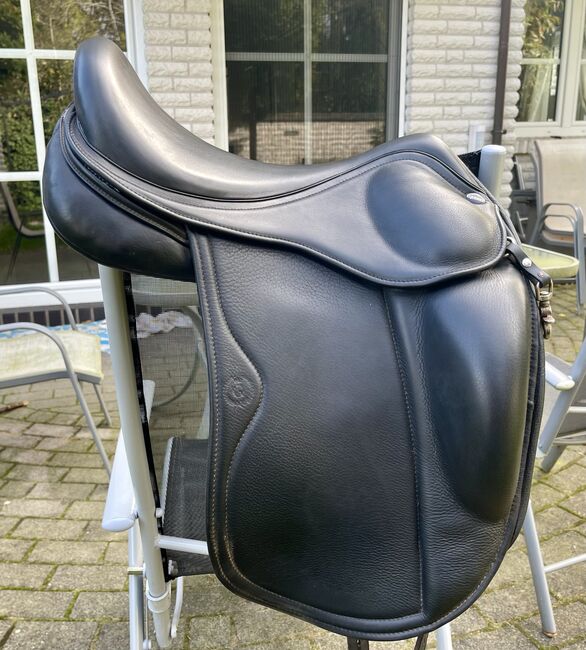 Eques Gold by Black Edition, 17,5 Zoll, Wolle, Eques Gold by black Edition , Svenja Hibbeler, Icelandic Saddle, Hatten, Image 12