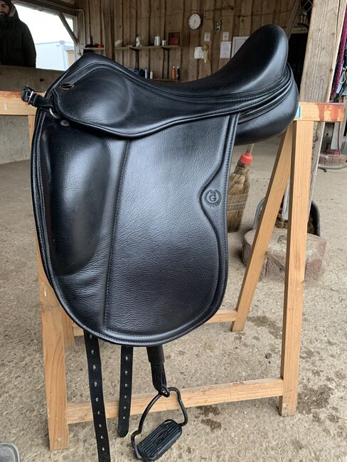 Eques Gold 17“, Eques Gold, Stefanie Emele, Icelandic Saddle, Moosinning , Image 4